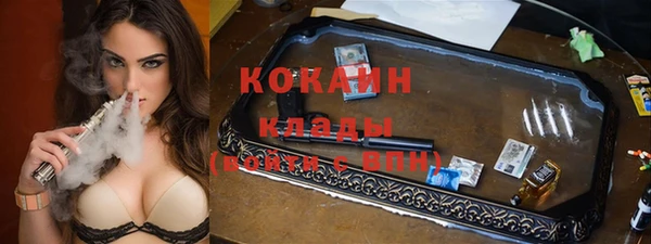 тгк Абаза