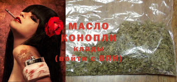 тгк Абаза