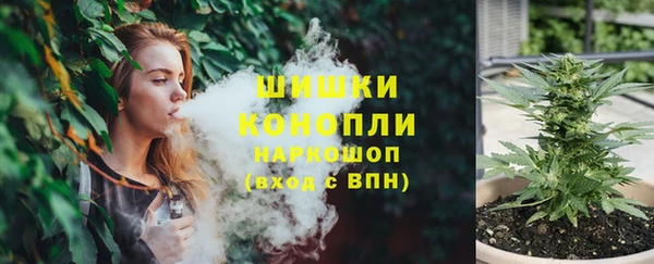 ГАЛЛЮЦИНОГЕННЫЕ ГРИБЫ Алзамай