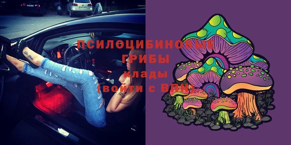 стаф Абдулино